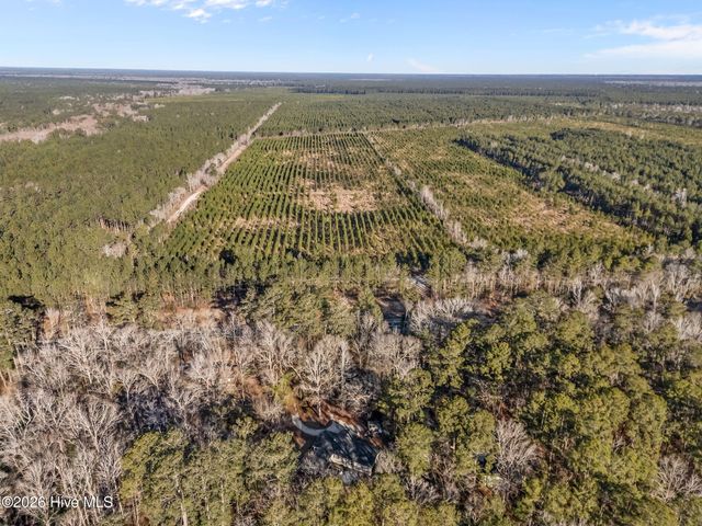 9925 Nc Highway 53 E, Burgaw, NC 28425