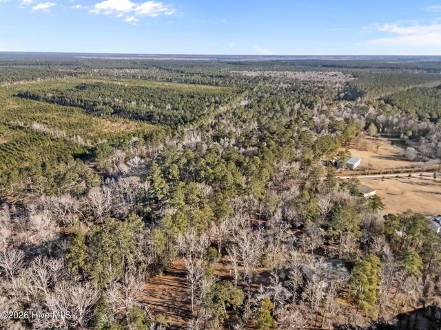 9925 Nc Highway 53 E, Burgaw, NC 28425