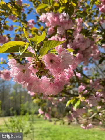 12820 DUNVEGAN DR, Clifton, VA 20124