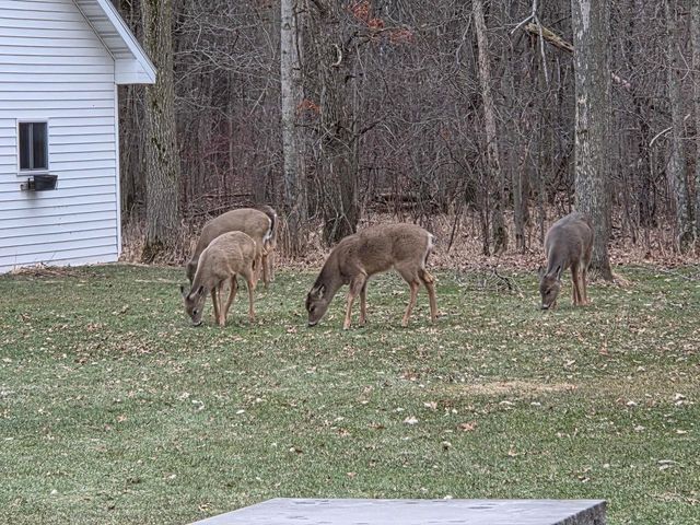 1044 MOONRIVER DRIVE, De Pere, WI 54115