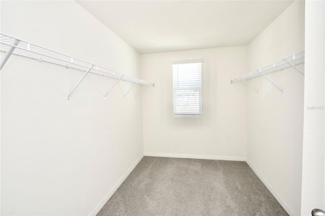 13648 WHISKEY DAISY DRIVE, Dade City, FL 33525