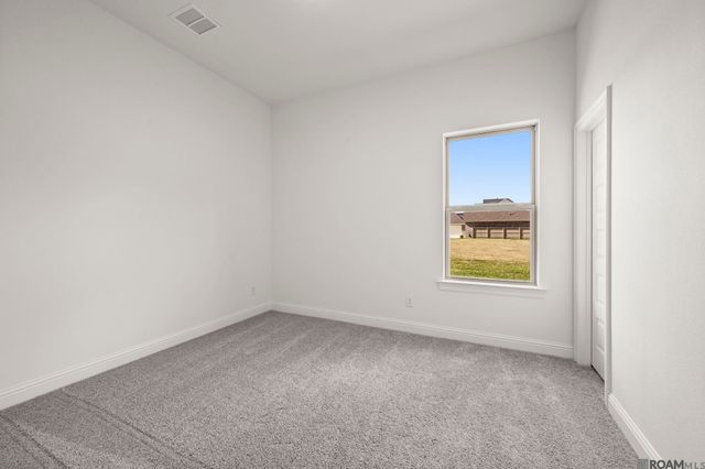 13276 Belle Reine Dr, Geismar, LA 70734