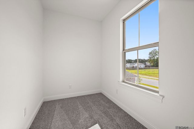 13276 Belle Reine Dr, Geismar, LA 70734