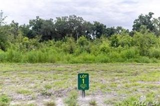 1480 Oxford Preserve Trail, Oxford, FL 34484