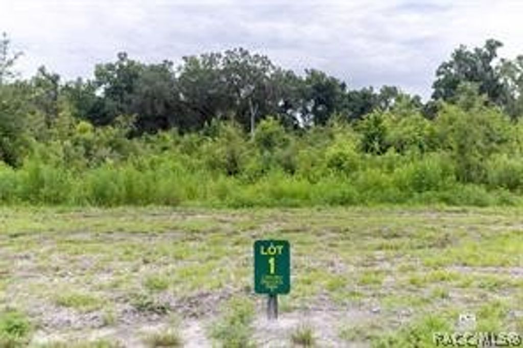 1480 Oxford Preserve Trail, Oxford, FL 34484