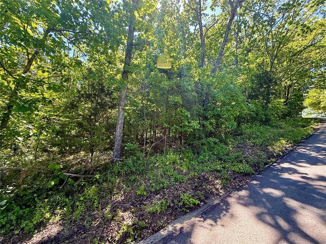 0 Cyclone Road, Cadet, MO 63630