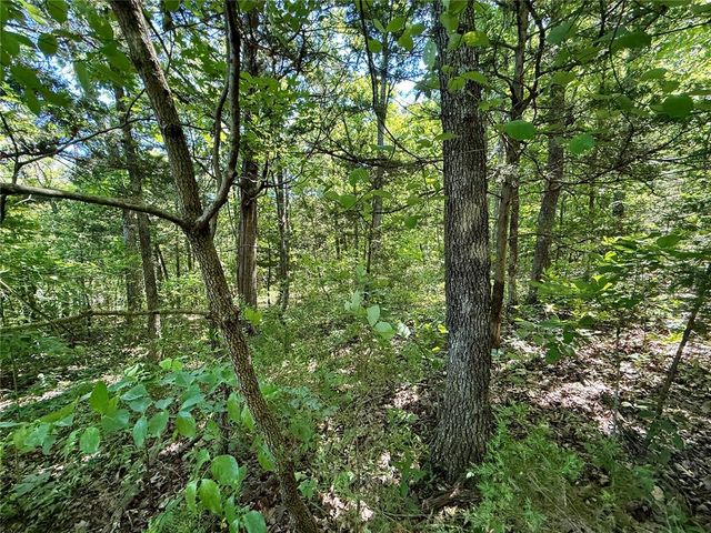 0 Cyclone Road, Cadet, MO 63630