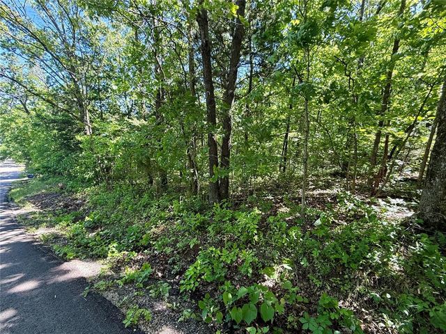 0 Cyclone Road, Cadet, MO 63630