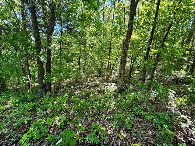 0 Cyclone Road, Cadet, MO 63630
