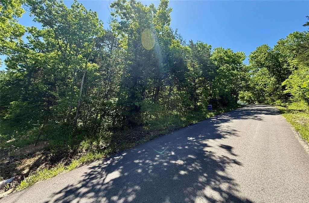 0 Cyclone Road, Cadet, MO 63630
