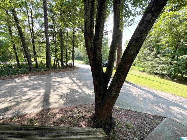 9983 OLD STOUTS ROAD, Warrior, AL 35180