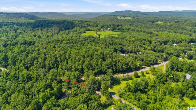 9983 OLD STOUTS ROAD, Warrior, AL 35180