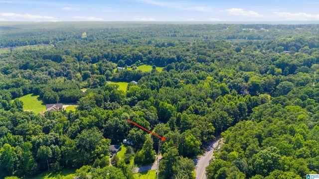 9983 OLD STOUTS ROAD, Warrior, AL 35180