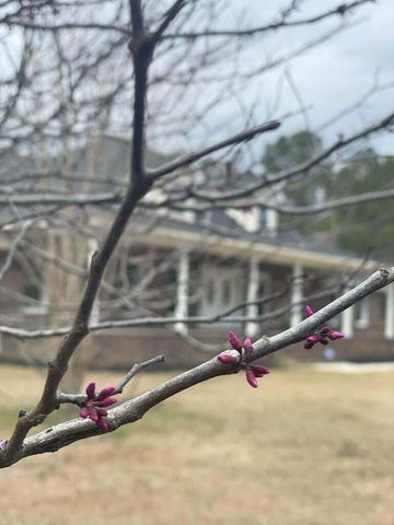 144 Bethlehem Road, Holly Hill, SC 29059