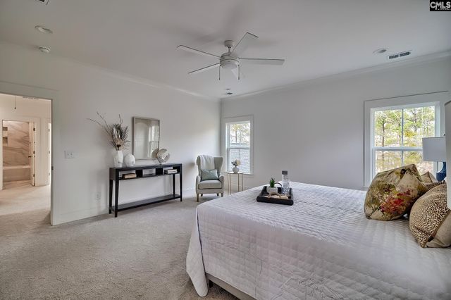 820 Elms Spinney Lane, Chapin, SC 29036