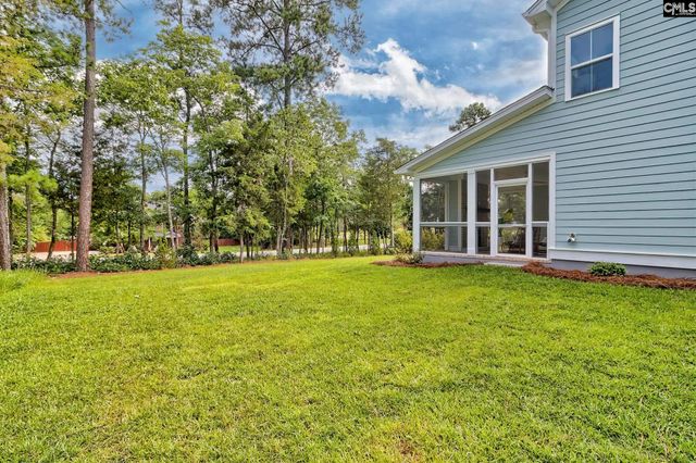 820 Elms Spinney Lane, Chapin, SC 29036
