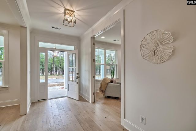 820 Elms Spinney Lane, Chapin, SC 29036
