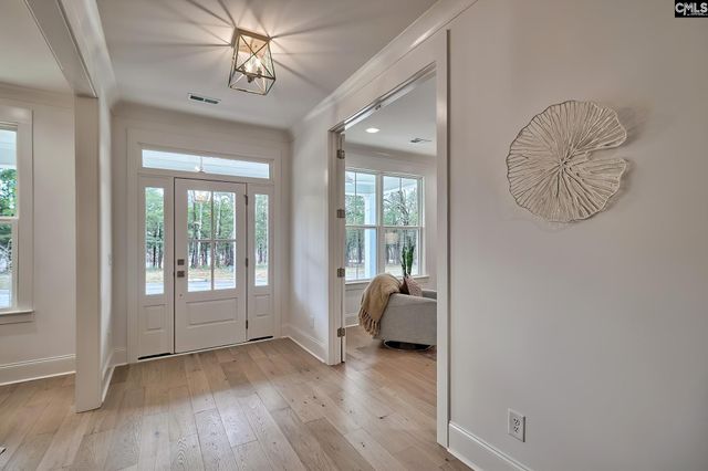820 Elms Spinney Lane, Chapin, SC 29036