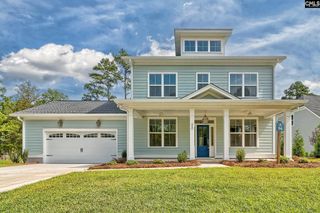 820 Elms Spinney Lane, Chapin, SC 29036