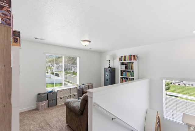 1202 S RAINTREE LN, Santaquin, UT 84655