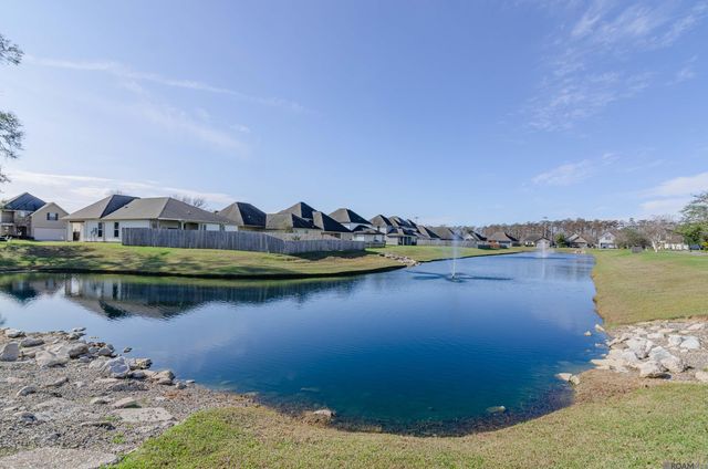 36451 Dutchtown Gardens Ave, Geismar, LA 70734