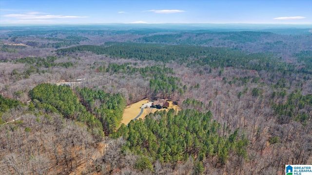 17438 HIGHWAY 78, Fruithurst, AL 36262