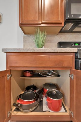 15 Aquiline Oaks Place, The Woodlands, TX 77382