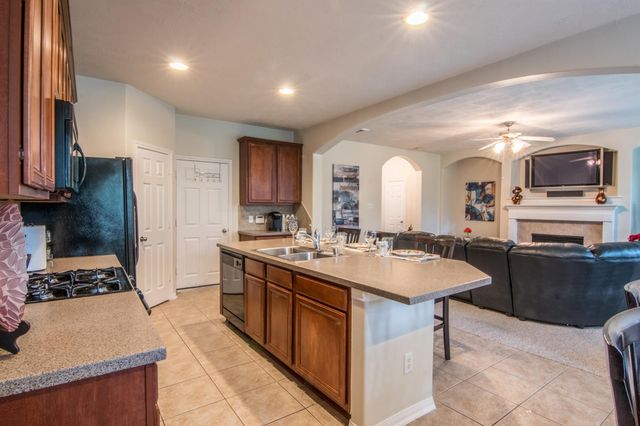 15 Aquiline Oaks Place, The Woodlands, TX 77382