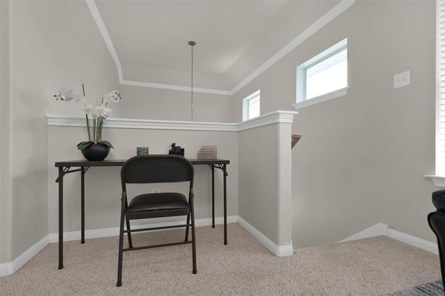 15 Aquiline Oaks Place, The Woodlands, TX 77382