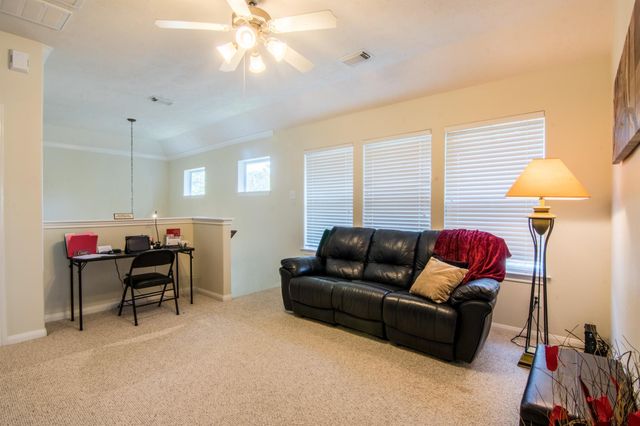 15 Aquiline Oaks Place, The Woodlands, TX 77382