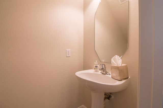 15 Aquiline Oaks Place, The Woodlands, TX 77382