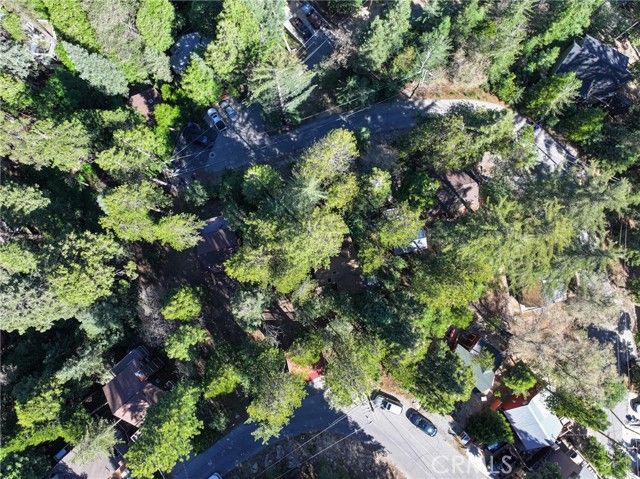 8 Lake Forest Drive, Twin Peaks, CA 92391