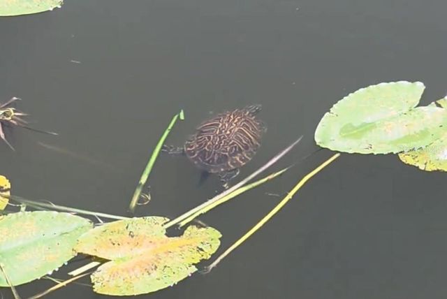 2516 GRASSY POINT DRIVE 102, Lake Mary, FL 32746