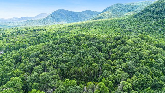 120 Baxter Road, Cosby, TN 37722