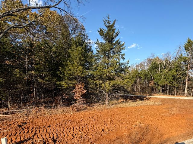 491 Reflection Bay Boulevard, Gordonville, TX 76245