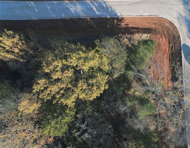 491 Reflection Bay Boulevard, Gordonville, TX 76245