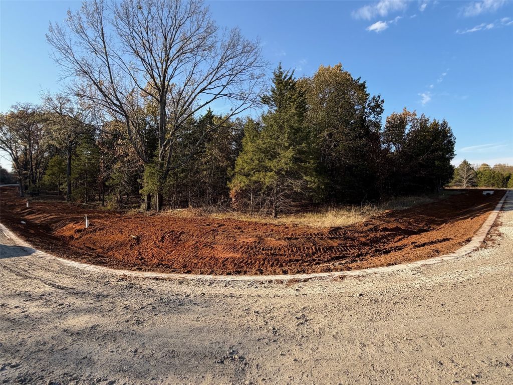 491 Reflection Bay Boulevard, Gordonville, TX 76245