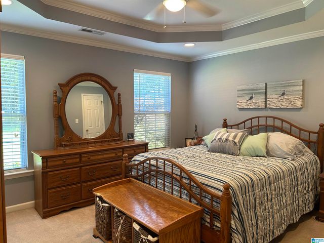 13219 ABERNANT LOOP ROAD, Vance, AL 35490
