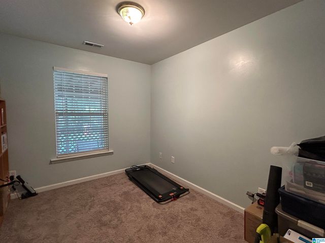 13219 ABERNANT LOOP ROAD, Vance, AL 35490
