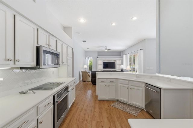 1310 KINGS WAY LANE, Tarpon Springs, FL 34688