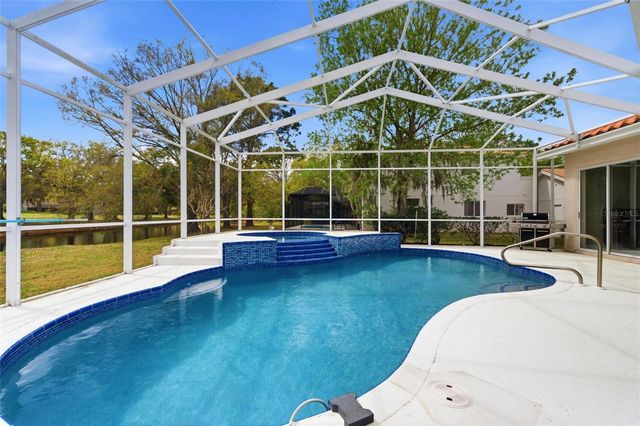 1310 KINGS WAY LANE, Tarpon Springs, FL 34688