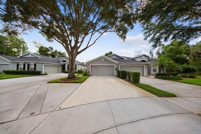 10818 ASHFORD OAKS DRIVE, Tampa, FL 33625