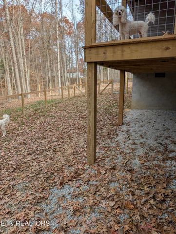 108 Shotgun Annie Rd, Jamestown, TN 38556