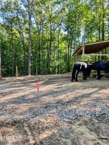 108 Shotgun Annie Rd, Jamestown, TN 38556