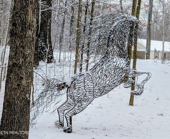 108 Shotgun Annie Rd, Jamestown, TN 38556