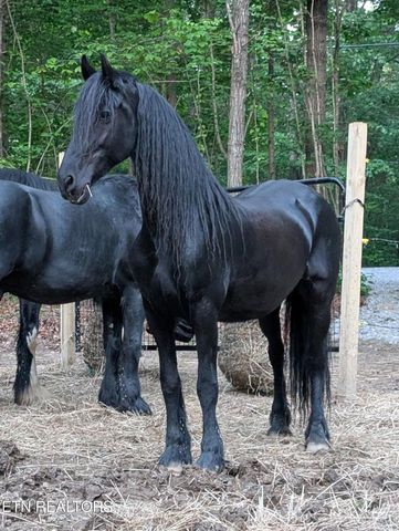 108 Shotgun Annie Rd, Jamestown, TN 38556