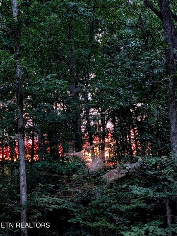 108 Shotgun Annie Rd, Jamestown, TN 38556