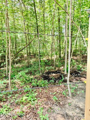 108 Shotgun Annie Rd, Jamestown, TN 38556