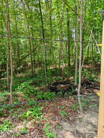 108 Shotgun Annie Rd, Jamestown, TN 38556