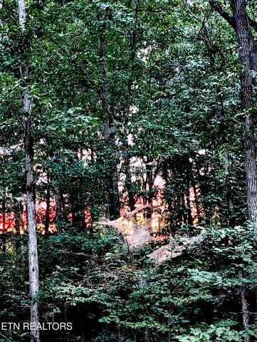 108 Shotgun Annie Rd, Jamestown, TN 38556